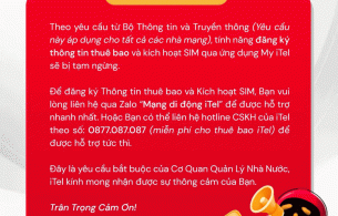 Các nhà mạng Wintel, iTel, VNSKY, Local đồng loạt ngưng cung cấp dịch vụ đăng ký SIM online